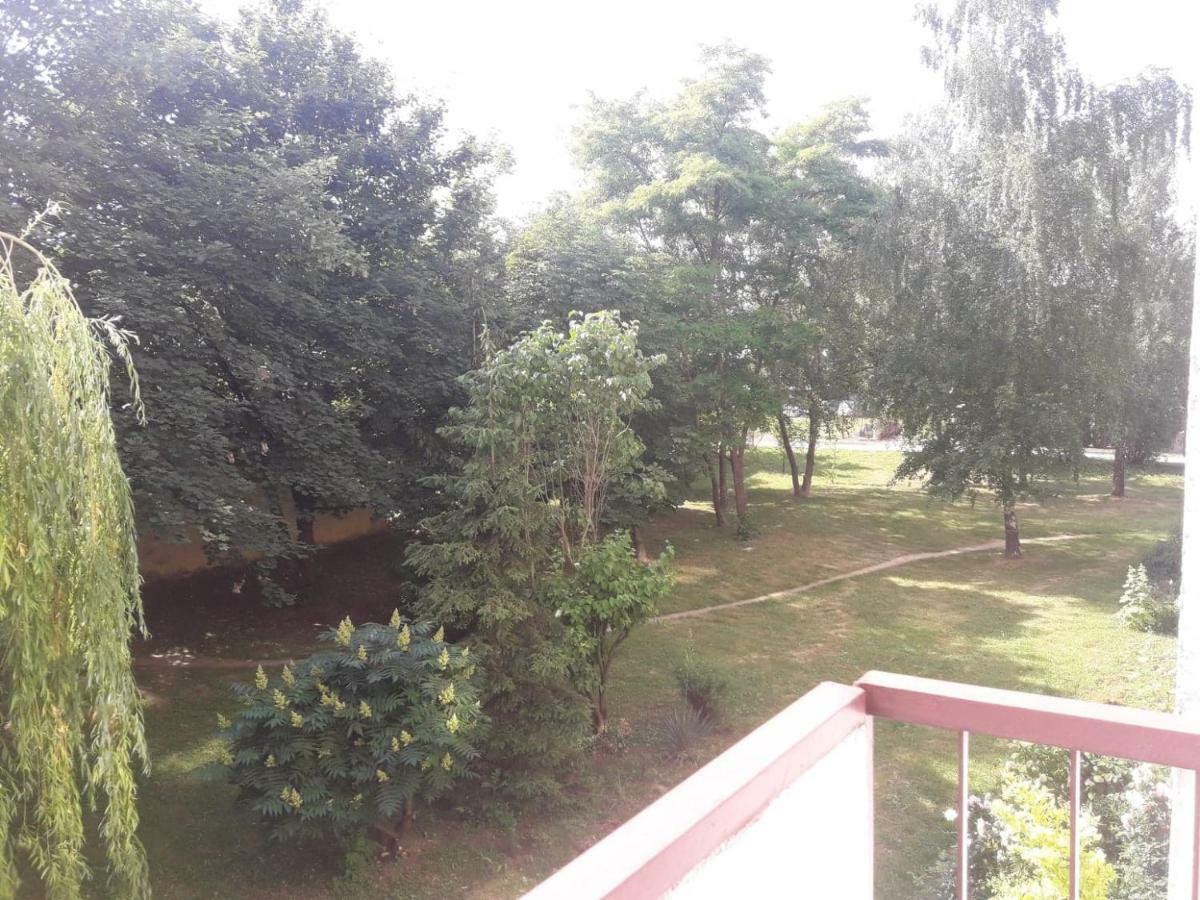 Apartament Krolewski 산도미에르즈 외부 사진